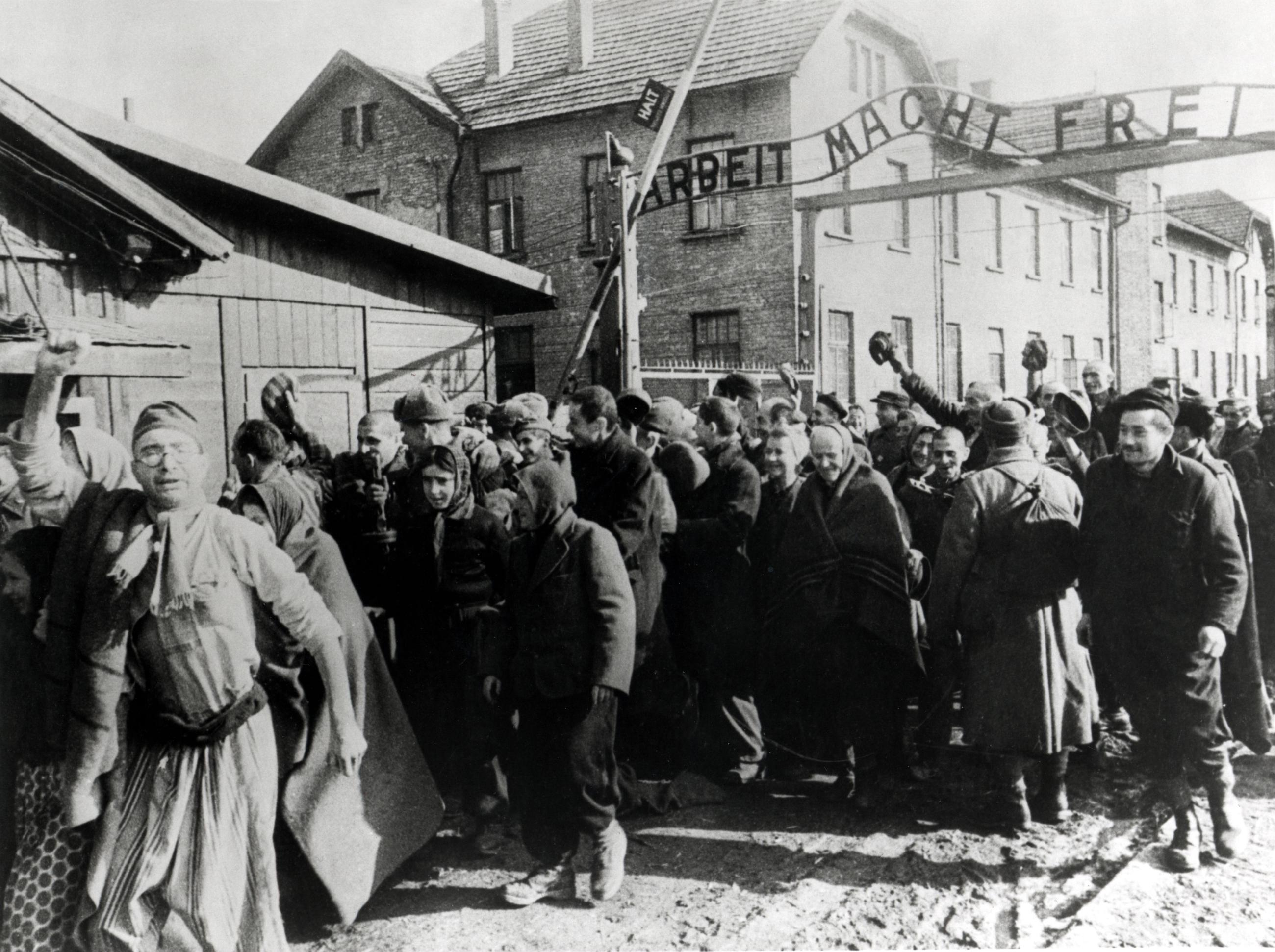 Auschwitz liberation 1945 wikimedia commons